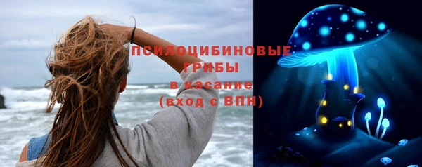 шишки Беломорск