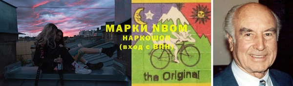 шишки Беломорск