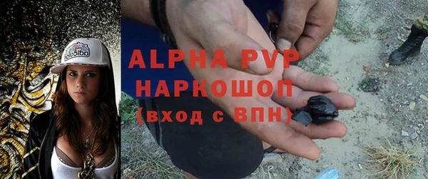 шишки Беломорск