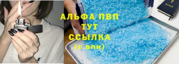 шишки Беломорск
