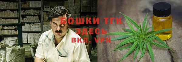 шишки Беломорск