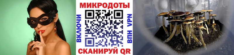 Псилоцибиновые грибы GOLDEN TEACHER  Купить  Егорьевск 